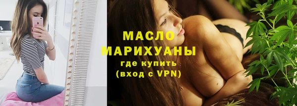 твердый Бородино