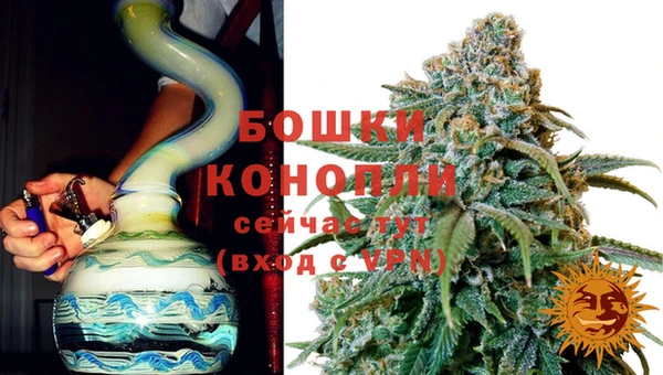 твердый Бородино