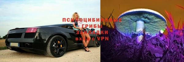 твердый Бородино