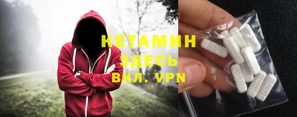 твердый Бородино