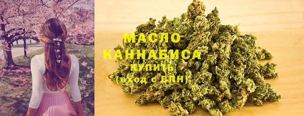 твердый Бородино
