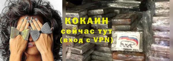 твердый Бородино