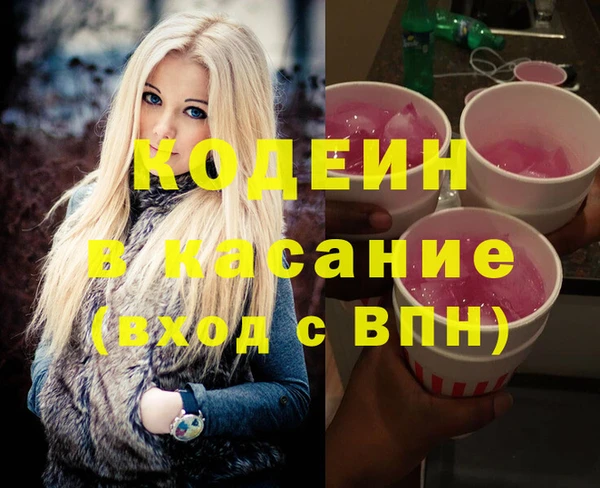 твердый Бородино