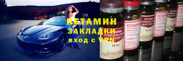 твердый Бородино