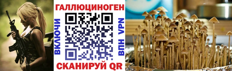 Купить  Назарово  Псилоцибиновые грибы Psilocybine cubensis 